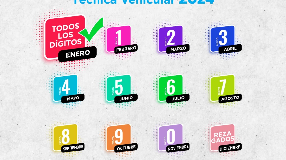 Calendario de Matriculación Vehicular 2024